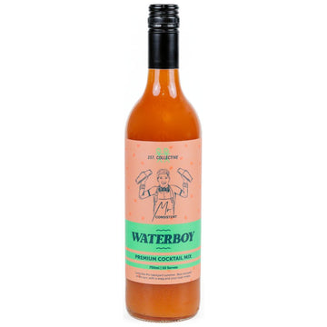 Mr Consistent Waterboy Mixer 750ml